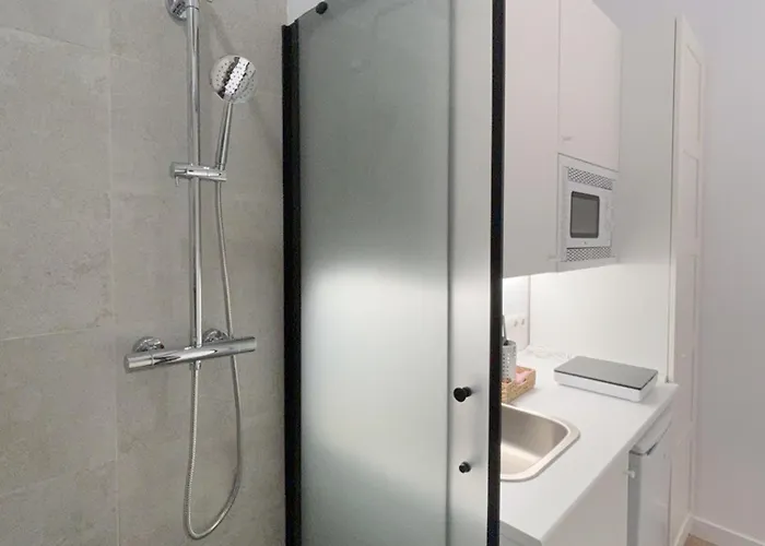 Sd Habitacion Centrica Con Bano Y Kitchenette